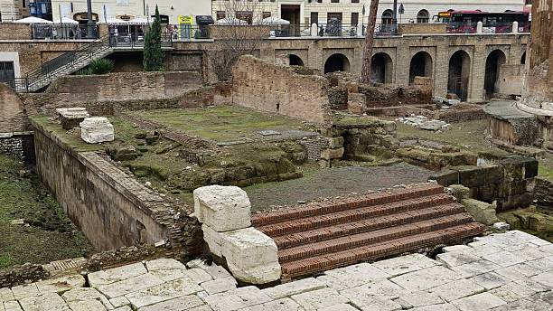 Rome, Italy - 11 January 2025. At the Curia of Pompey, layered temple ruins and a cat near brick stairs lie among arches, walls, and grassy remnants of an ancient structure below the street level.