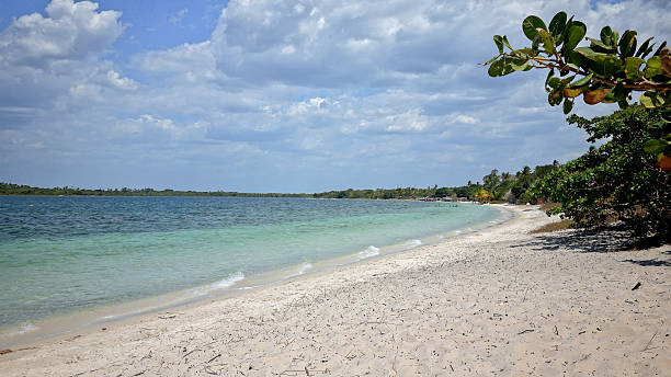 istock tropical beach with cashew trees in Jericoacoara, Ceara, Brazil. 2235987062