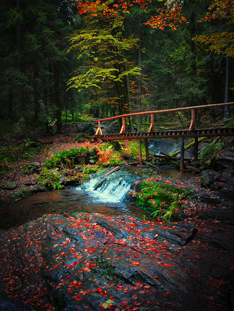 istock Bridge over river Opava with stones in Jeseniky mountains 2235989014