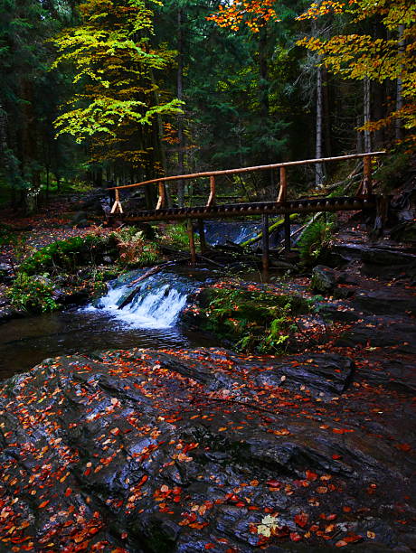 istock Bridge over river Opava with stones in Jeseniky mountains 2235989021