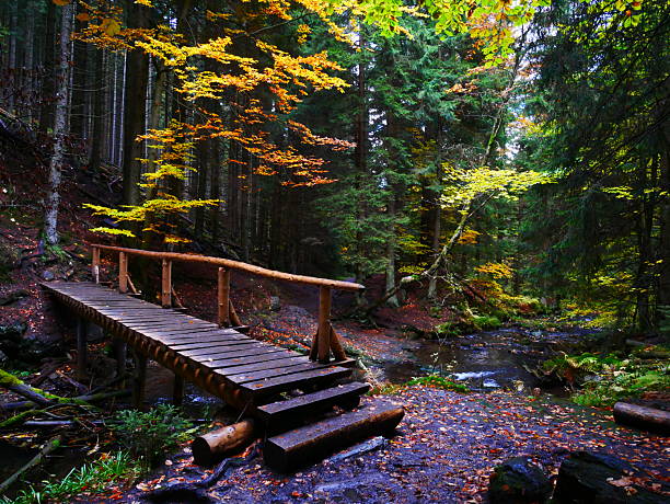 Bridge over river Opava with stones in Jeseniky mountains, autumn forest. Eastern Europe, Moravia.