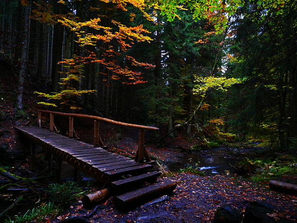 Bridge over river Opava with stones in Jeseniky mountains, autumn forest. Eastern Europe, Moravia.