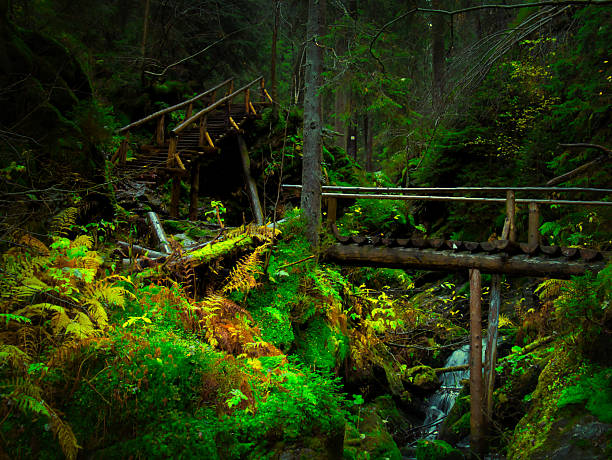 Bridge over river Opava with stones in Jeseniky mountains, autumn forest. Eastern Europe, Moravia.