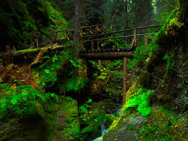 Bridge over river Opava with stones in Jeseniky mountains, autumn forest. Eastern Europe, Moravia.