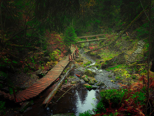 Bridge over river Opava with stones in Jeseniky mountains, autumn forest. Eastern Europe, Moravia.
