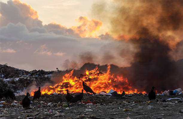 istock Fire, Vultures, and Smoke in Burning Landfill 2235996181