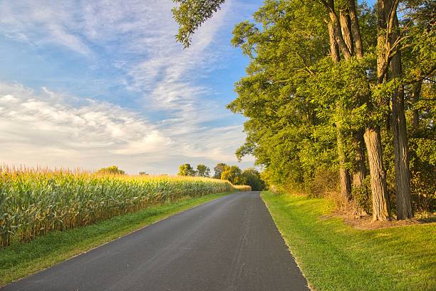 Golden hour landscape of the setting sun illuminating a forest and cornfield beside a rural road in Washington County, Wisconsin.