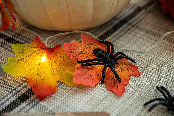 istock Halloween Decoration with Spider on Autumn Leaf Light 2236001089