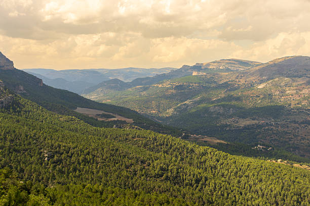 Stunning panoramic view showcasing the beauty of nature with layers of green mountains and valleys extending into the distance under a cloudy sky, creating a tranquil and breathtaking landscape