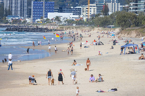 August 17 2025, People walk their dogs on the off leash area at Tallebudgera Beach, Gold Coast, Queensland