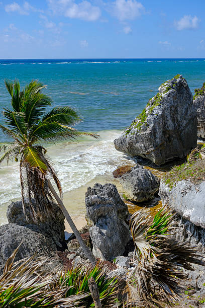 istock Tulum archaeological site in Quintana Roo, Mexico 2236015404