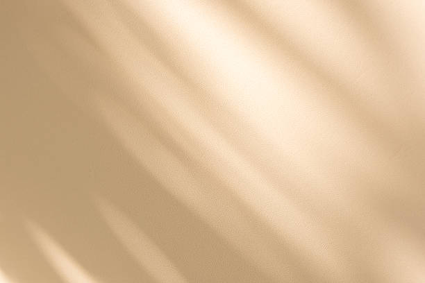 istock Studio style background wall decoration presentation uses white and beige tones. with shadows cast from a nearby window, concept creating a decorative 2236021843