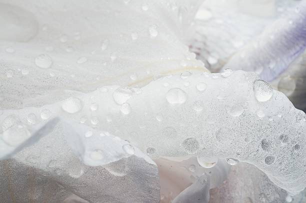 A delicate white flower petal is shown up close, adorned with sparkling water droplets, creating a serene and refreshing scene.