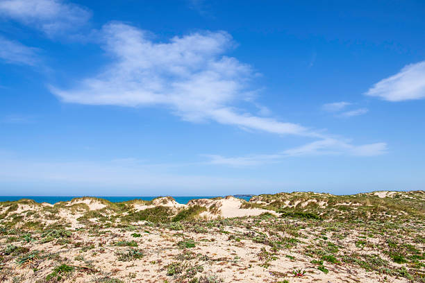 Sand dunes on the Praia da Baia, one of the many beautiful beaches of Peniche which attract thousands of tourists every year