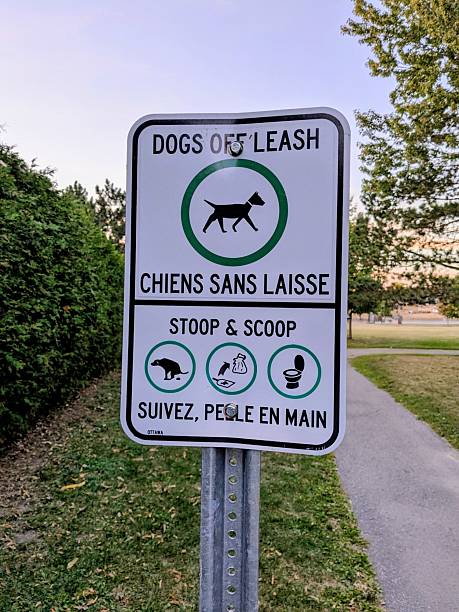 istock Bilingual Dog Clean Up Sign (French/English) 2236026370