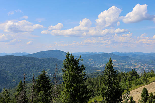 istock ​A panoramic view of a mountain range covered with dense forests, with coniferous trees in the foreground. The image conveys a sense of space and freedom, while the blue sky with white clouds adds a feeling of lightness and tranquility to the landscape. 2236028764