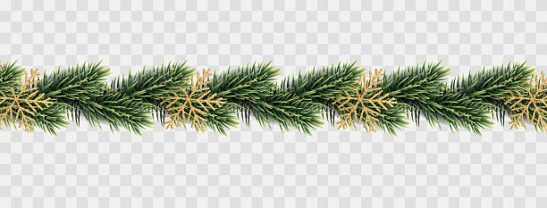 istock Christmas and New Year background with fir trees, isolated. 2236030185