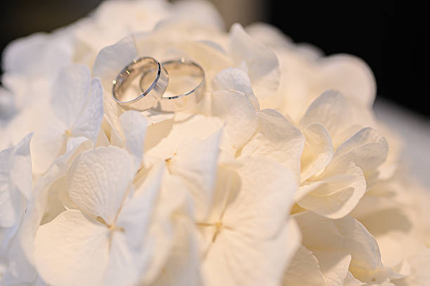 White hydrangea bouquet cradling platinum wedding bands, representing eternal love and marital partnership with delicate elegance