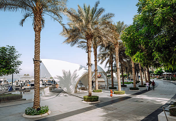 Beautiful modern promenade lined with palm trees by a serene waterfront, showcasing architectural elements and a relaxing atmosphere, perfect for leisurely strolls or enjoying nature with family and friends.