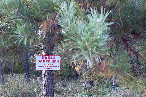 Russia, Voronezh Oblast, August 9, 2025. A sign prohibiting entry into a forest during a high fire danger.