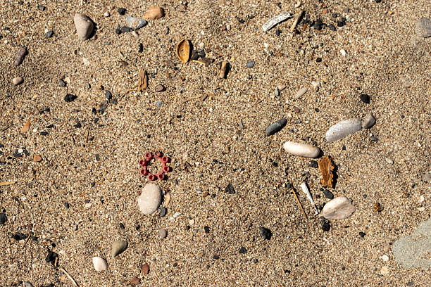 istock Sand with Pebbles, Debris, and a Red Plastic Ring 2236037875