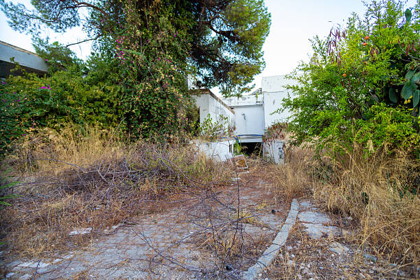 Overgrown vegetation surrounds a derelict white building, with dried grass and scattered branches filling the foreground.