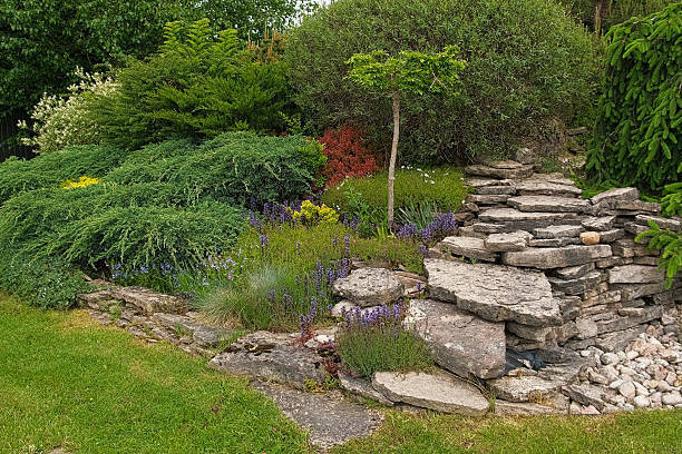 istock Different types of shrubbery, shrubs, stone path surrounded by evergreen trees. Professional Landscaping with lots of flowers, plants, rocks on the ground. Garden Daily Idea. English style. Real Video 2236045167