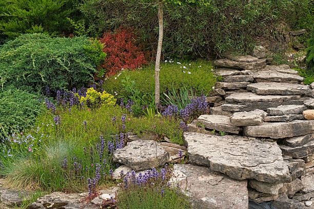 istock Different types of shrubbery, shrubs, stone path surrounded by evergreen trees. Professional Landscaping with lots of flowers, plants, rocks on the ground. Garden Daily Idea. English style. Real Video 2236045168