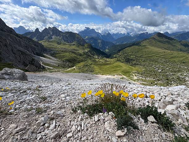 istock Colle Santa Lucia, Dolomites 2236045466