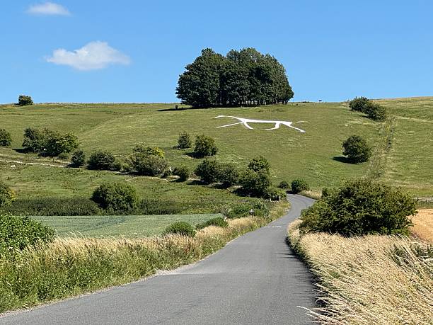 istock White chalk horse on Swindon Hill 2236048662
