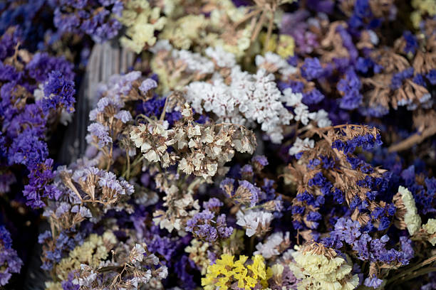 A detailed view of a collection of dried flowers in shades of purple, yellow, white, and beige. The delicate textures and natural tones create a rustic and decorative composition, highlighting the beauty of preserved flora.