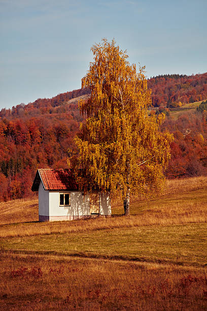 istock Autumn colored trees and countryside landscape scenery. 2236048906