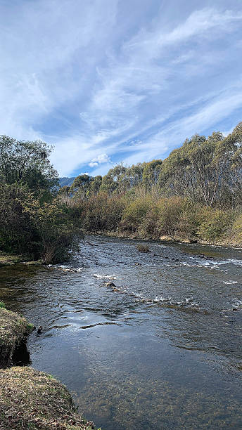 istock Scenic River Stream and Trees in National Park 2236049938