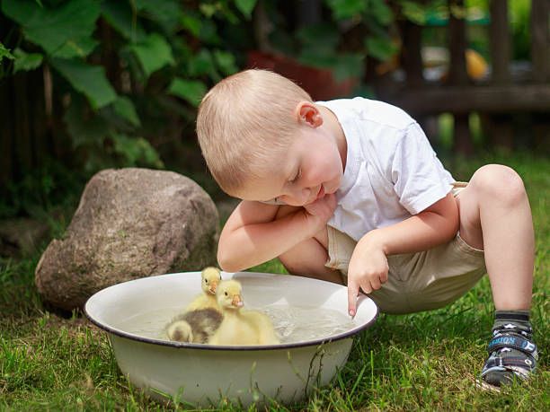 Mallard duckling on a water platter. OLYMPUS DIGITAL CAMERA