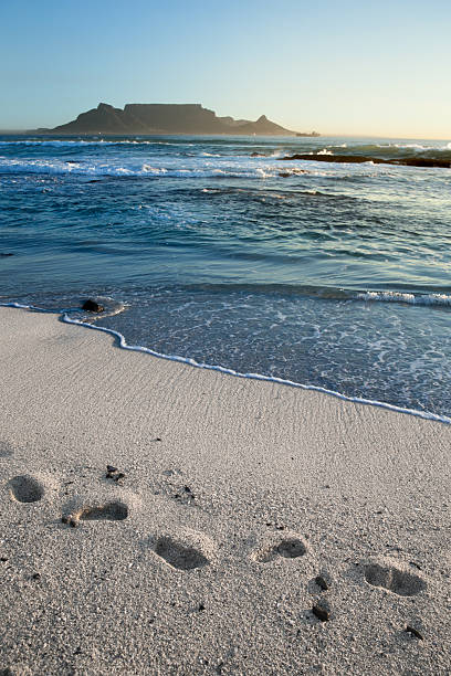istock View on Table mountain from Bloubergstrand beach 2236051032