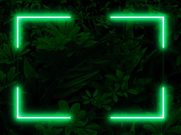 istock A dark horizontal image of a lush  green garden 2236052243