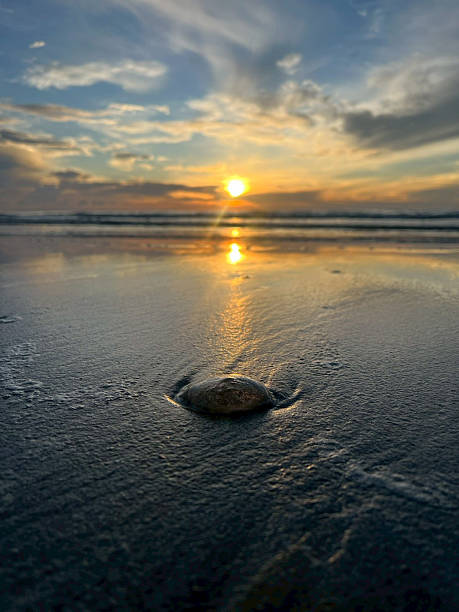 istock sea and beach in the morning 2236056882