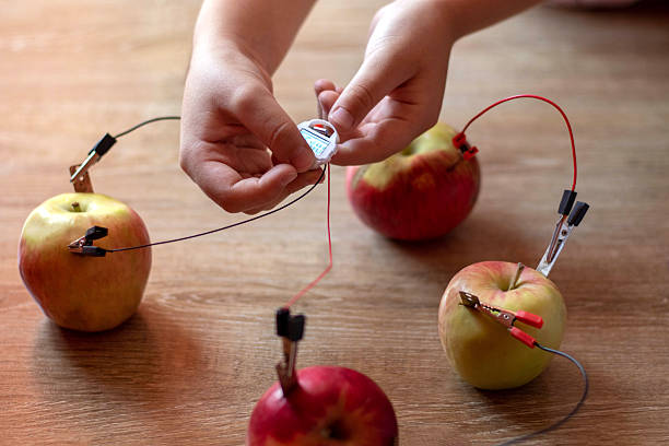 istock A close-up of a child's hands working on a science experiment to create a simple battery from apples. STEM education, innovative learning, and sustainable energy 2236056915