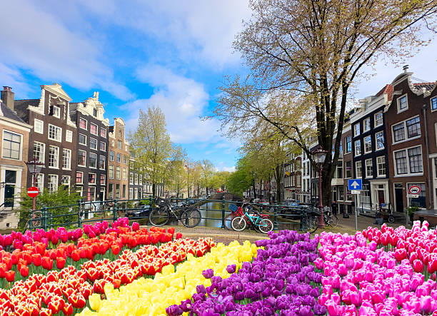 Facades of old historic Houses and trees over canal water, Amsterdam, Netherlands
