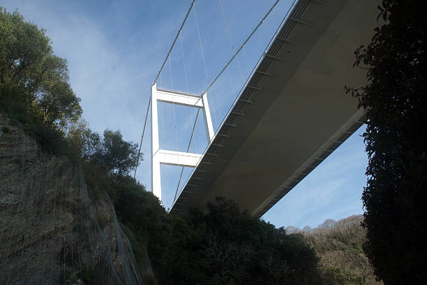 istock Fatih Sultan Mehmet Bridge pillar 2236064826