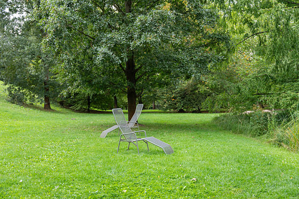 istock Two modern metal loungers stand on a grassy lawn. 2236070884