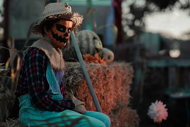 Scarecrow with face made up as a halloween pumpkin sitting on straw