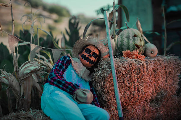 Scarecrow with face made up as a halloween pumpkin lying on straw