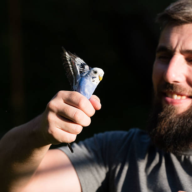 istock Man gently holding a small, blue and white bird. 2236077776