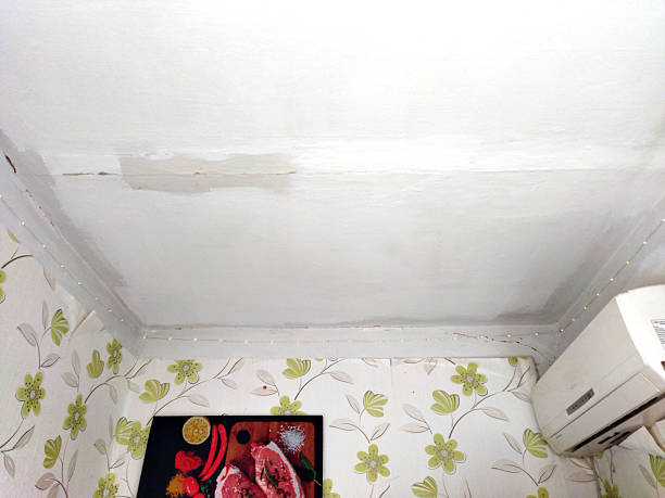 Section of a ceiling showing repair work in progress.