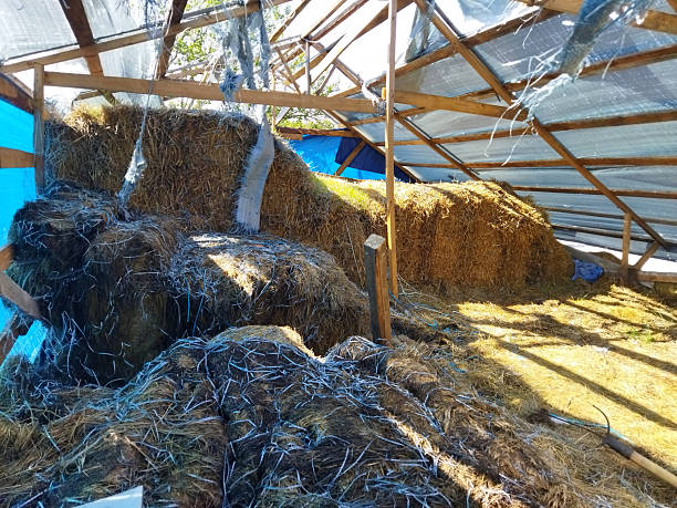 istock Hay storage area in a rustic barn during sunny afternoon 2236080286