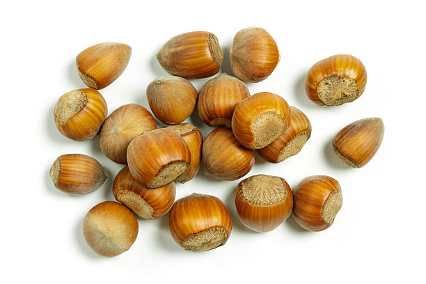 istock Close-up of hazelnuts in shell, arranged on a white background 2236080564