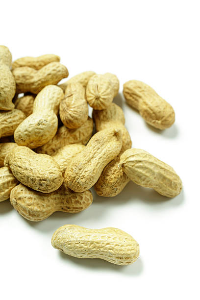 istock Pile of whole peanuts in their shell on a white background 2236080634