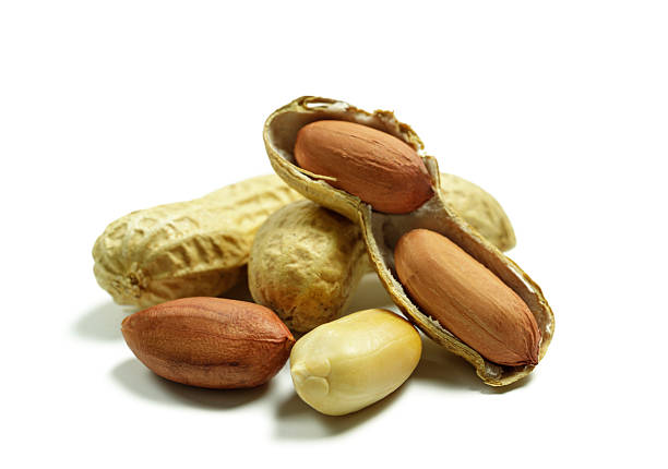Close-up view of whole peanuts in their shell with kernels exposed, set on a white background, emphasizing the natural texture and earthy tones. Perfect for illustrating concepts of food, nutrition, and natural snacks.