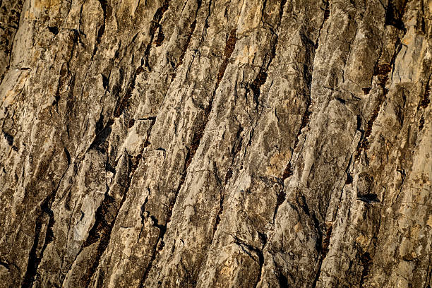 istock Textured rock surface with visible cracks, earthy shades and rugged natural details. The geological formation highlights the raw beauty of nature, making it perfect for use as a background or texture. 2236085849